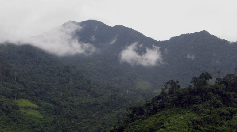 Paesaggio montano coperto da una fitta foresta