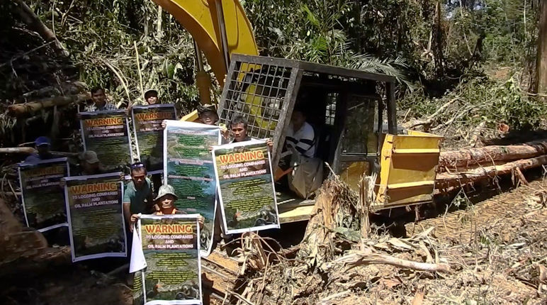 Denunciata la deforestazione per la coltivazione della palma da olio nello stato di Sarawak, in Malesia