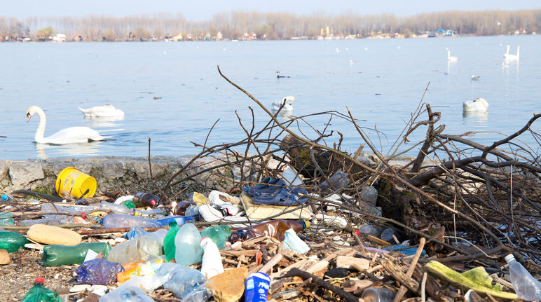 Rifiuti di plastica vicino al fiume Danubio e cigni sullo sfondo