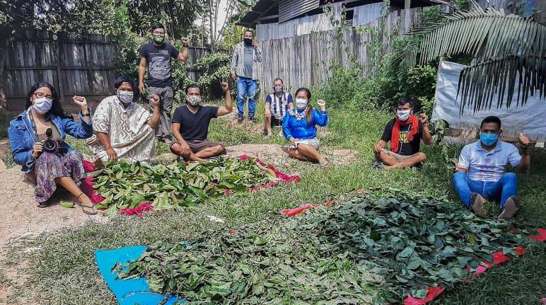 Gruppo di indigeni mentre preparano piante per uso medicinale