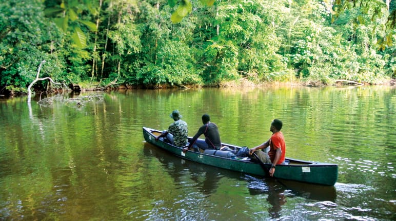 Fiume nel Parco Nazionale di Sapo, Liberia