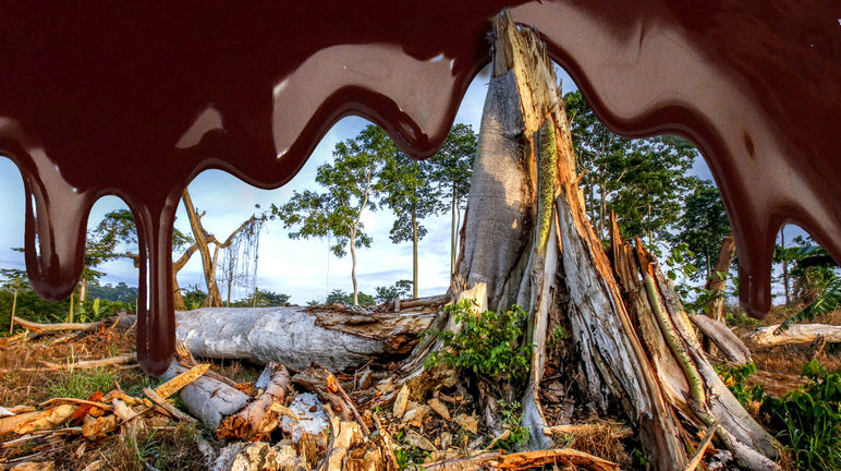 Basta distruggere le foreste dell'Africa occidentale per il cioccolato! Fotomontaggio: la foresta abbattuta e il logo Mars