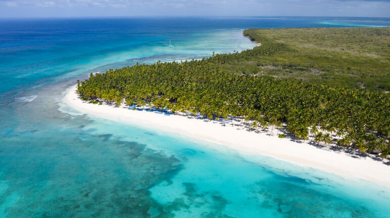 Vista aerea dell'isola di Saona nella Repubblica Dominicana con palme da cocco in mezzo al mar dei Caraibi azzurro cobalto
