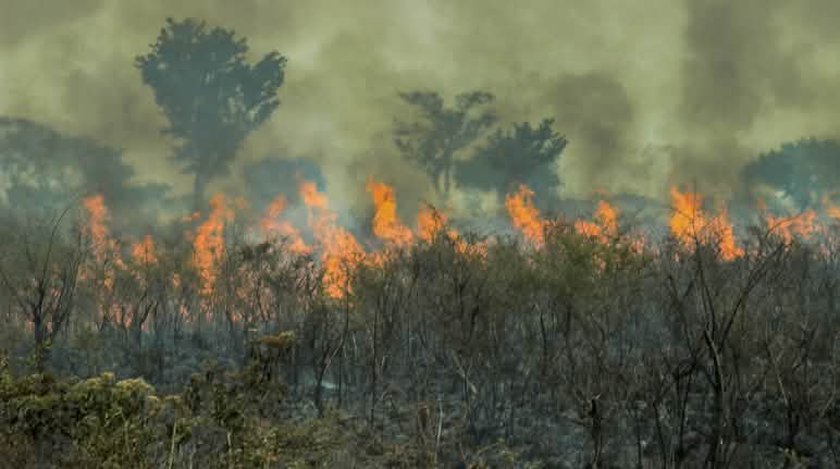 Il trattato UE-Mercosur è una minaccia per le foreste ed il clima Incendi nell'Amazzonia brasiliana