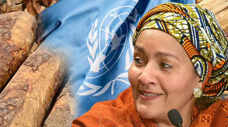 Sig.ra Amina J. Mohammed, Vicesegretaria generale delle Nazioni Unite accanto al tronco di palissandro e la bandiera delle Nazioni Unite