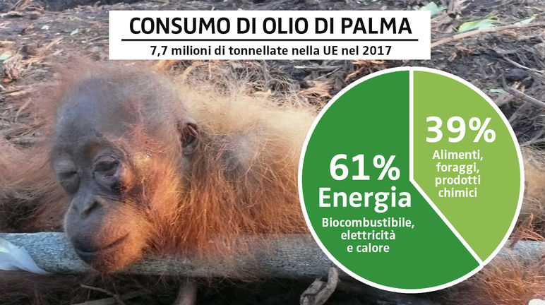 CONSUMO DI OLIO DI PALMA 2017