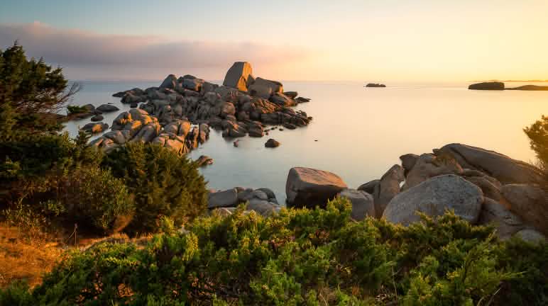 Foresta sempreverde mediterranea in Sardegna - Pexels by Simone Coltri Foresta sempreverde in Sardegna, Italia