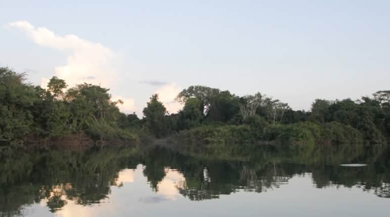 Panorama dell'ecosistema di Xingu, nell'Amazzonia brasiliana. Fiume Xingu