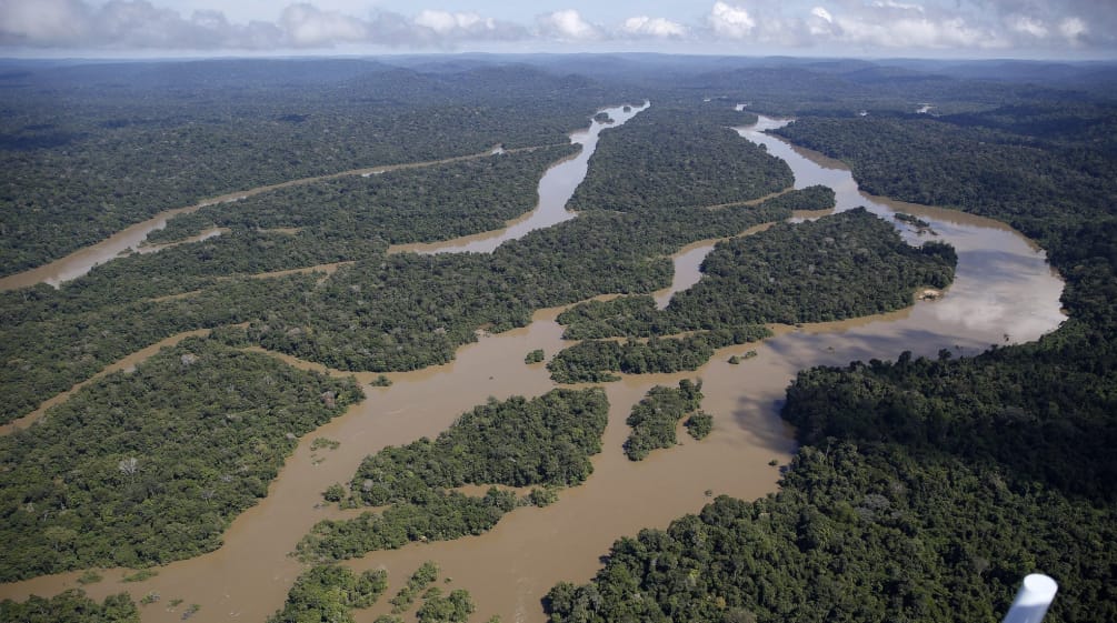 Veduta aerea del paesaggio fluviale della foresta amazzonica