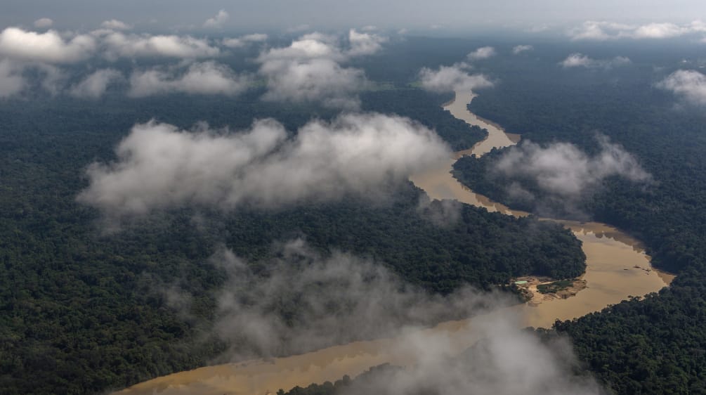 Veduta aerea con nuvole di un fiume che serpeggia nella foresta pluviale