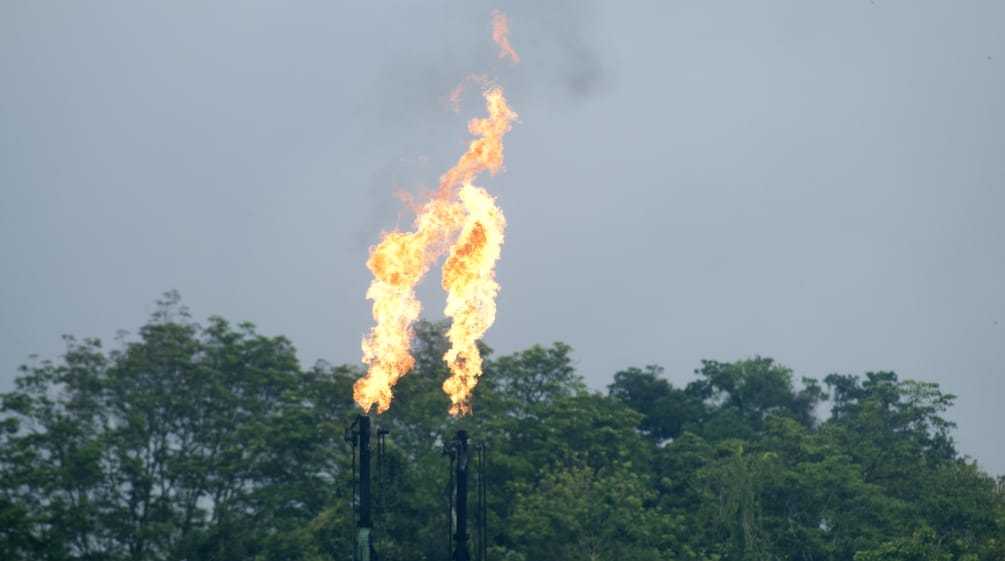 Fiamme dell'industria petrolifera nello Yasuní