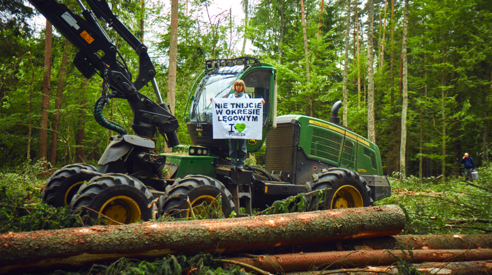 Una protesta contro il taglio della foresta Bialowieza in Polonia