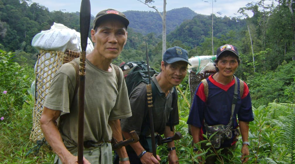Gli indigeni Penan di Sarawak, in Malesia, sono popolazioni nomadi che vivono nella e dalla foresta pluviale. indigeni Penan di Sarawak
