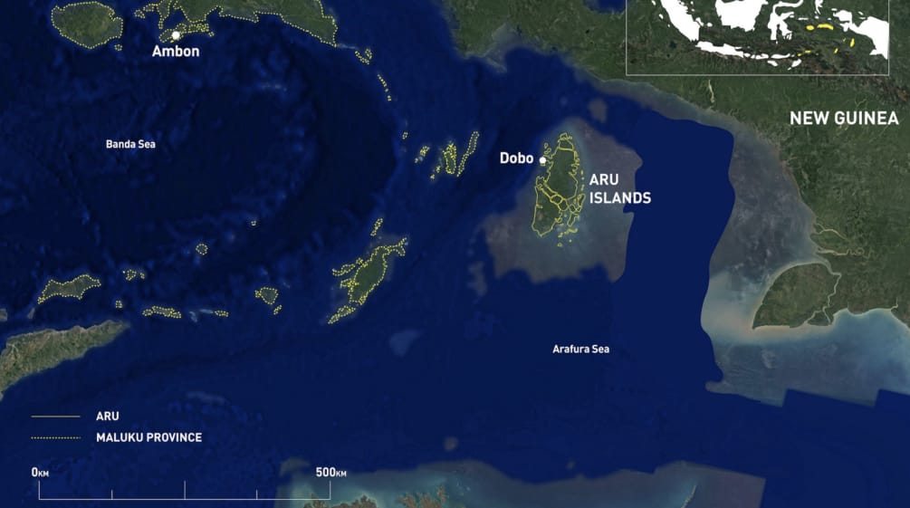 Mappa Nuova Guinea - Isole Aru - Australia da N a S