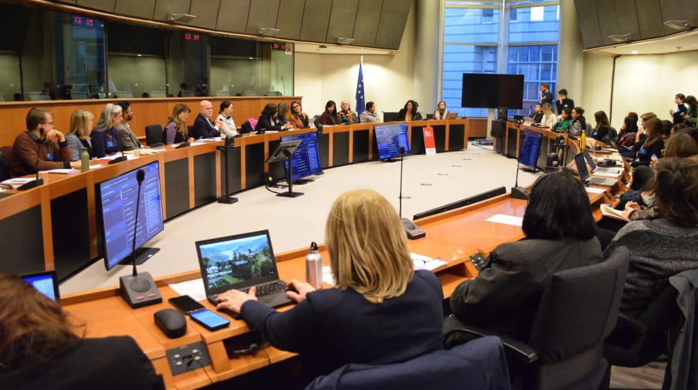 Dibattito sul Diritto a dire NO alle miniere e all'estrattivismo al Parlamento europeo