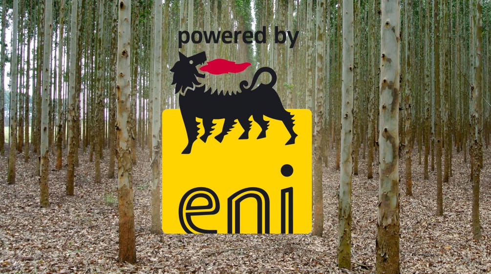 Fotomontaggio: piantagione di eucalipto con il logo Eni
