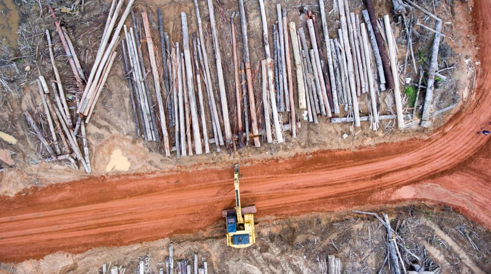 Foto aerea: Deforestazione per le piantagioni di palma da olio dell’azienda Korindo a Papua