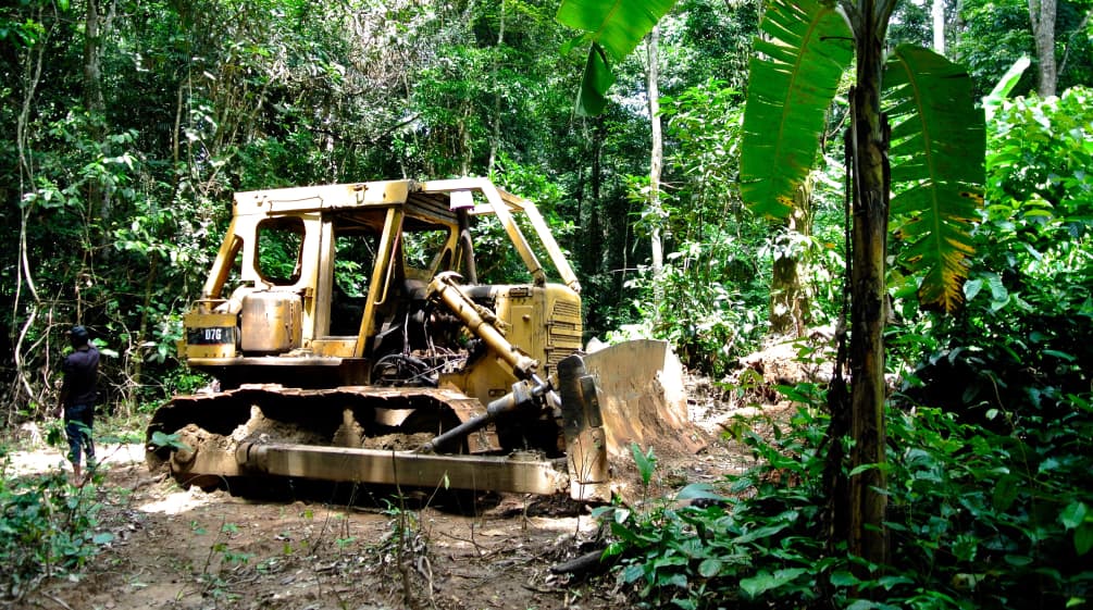 Bulldozer nel Parco Nazionale del Cross River