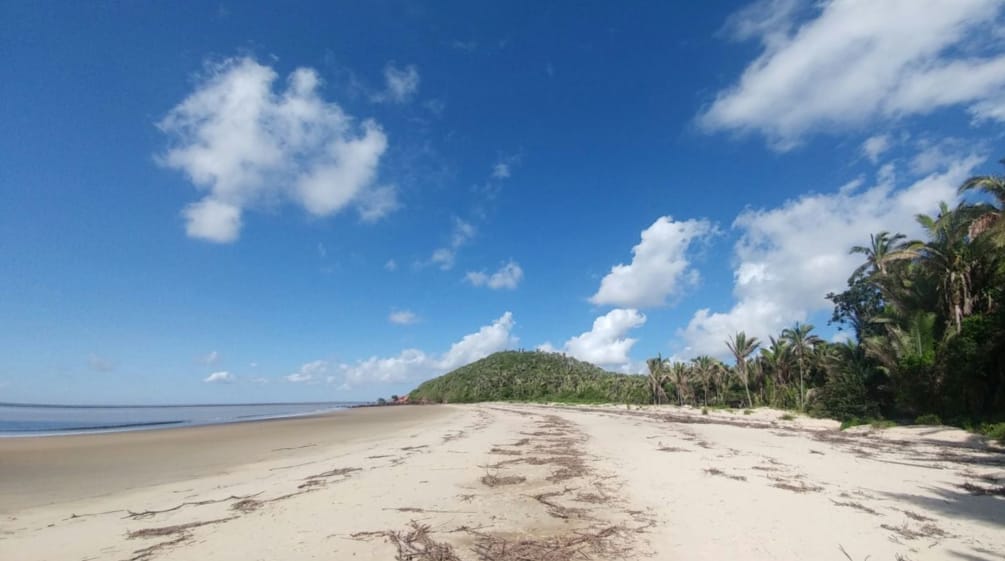 Spiaggia tropicale con palme sull'isola di Cajual