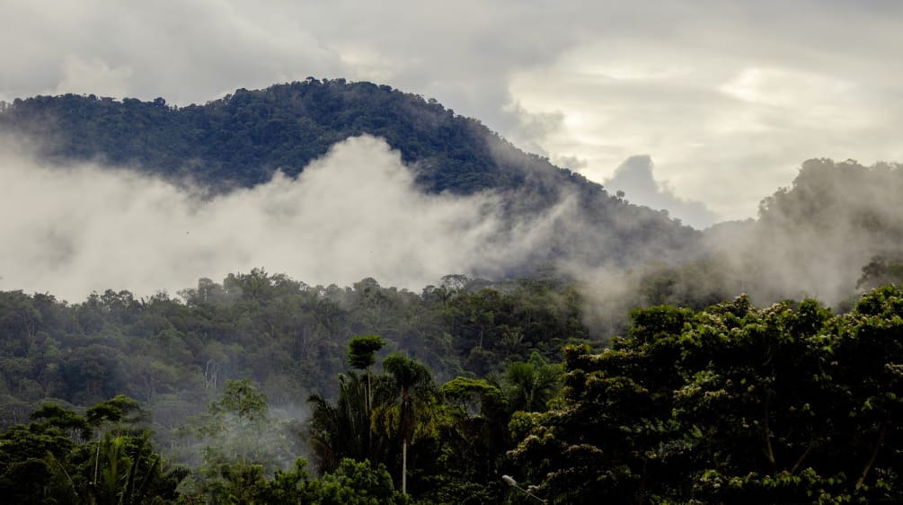 Paesaggio dell'Alto Amazonas nella provincia di Napo, Ecuador, minacciato dalla continua espansione dell'estrazione dell'oro