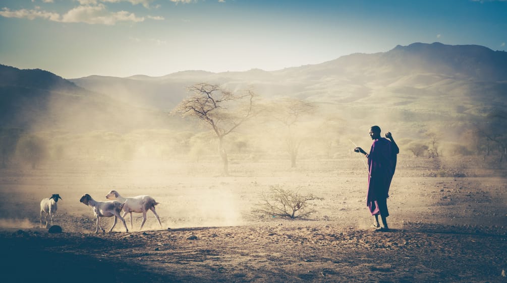 Pastore del popolo Masai in Tanzania