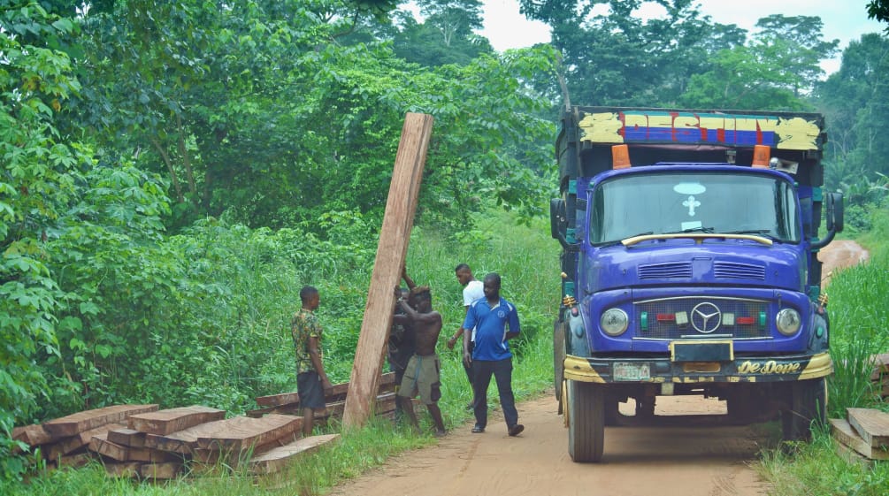 Uomini caricano su un camion tavole di alberi abbattuti illegalmente Uomini caricano tavole su un camion