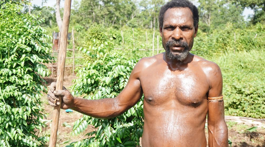Gli indigeni di Papua difendono la loro foresta contro l'azienda cartiera Moorim Un papuano del clan Gebze (Merauke) in conflitto con l'azienda cartiera coreana Moorim