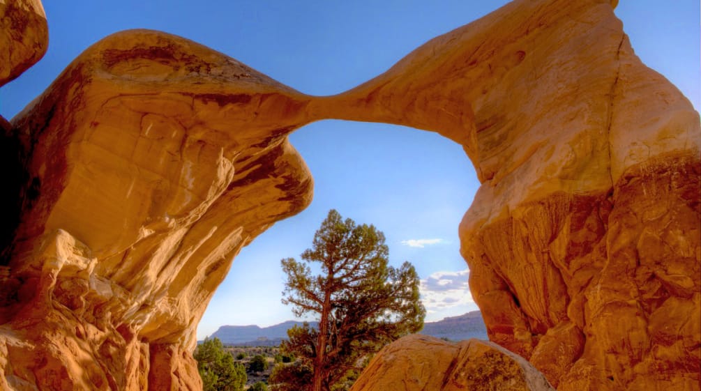 Metate Arch -Monument National Grand Staircase-Escalante nello Utah, Stati Uniti