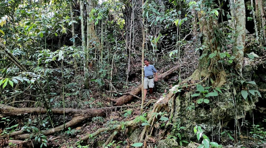 Un uomo cammina nella foresta