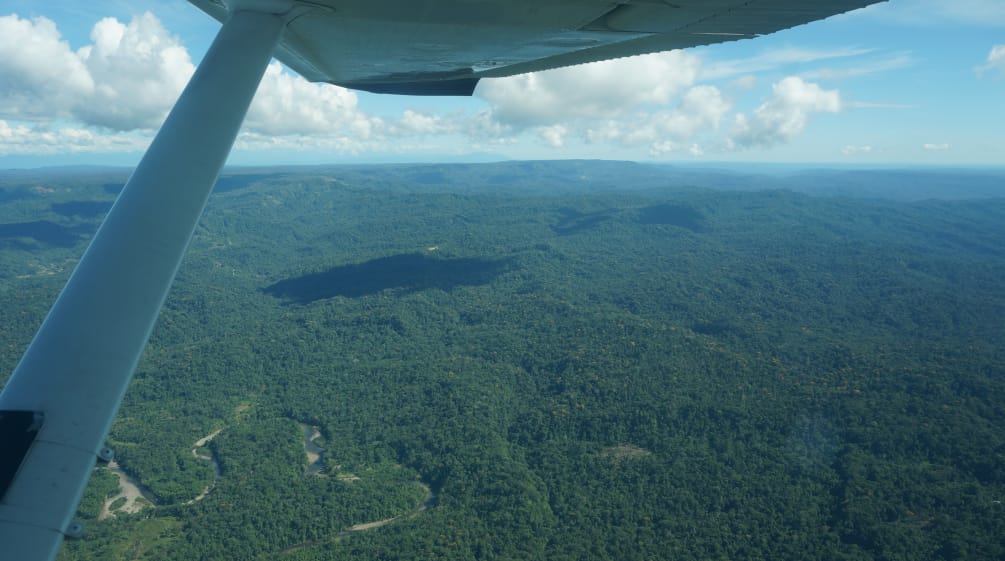 Veduta aerea della foresta degli indigeni Sápara nell'Amazzonia ecuadoriana