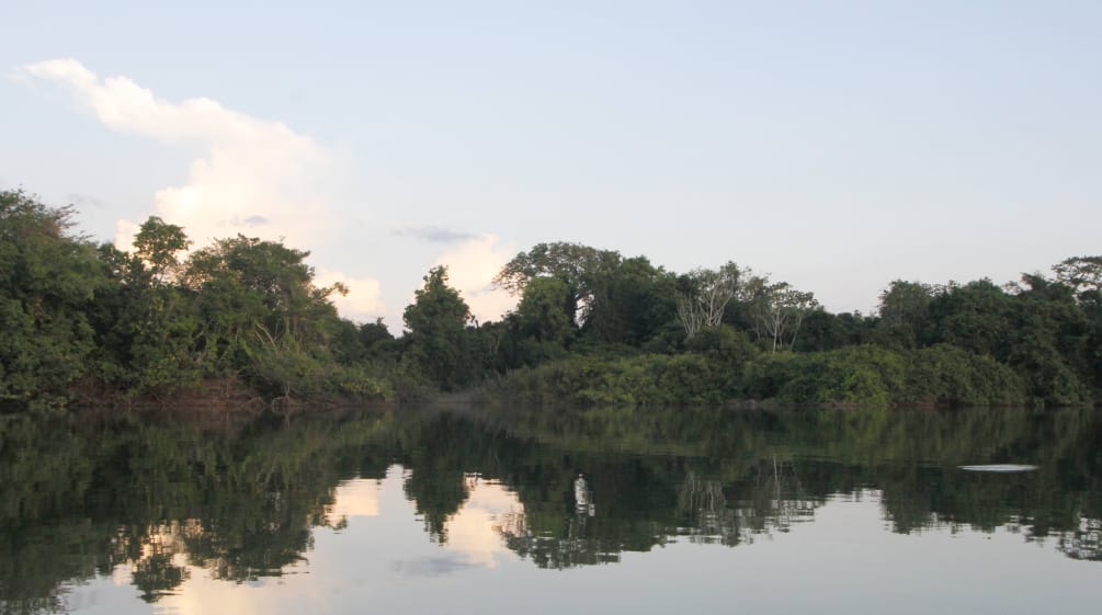 Panorama dell'ecosistema di Xingu, nell'Amazzonia brasiliana. Fiume Xingu