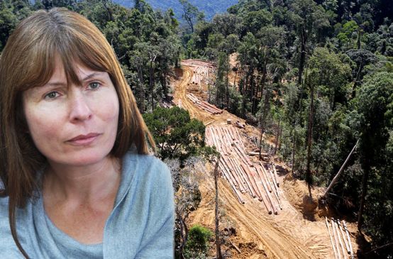 La giornalista Clare Rewcastle Brown del Sarawak Report