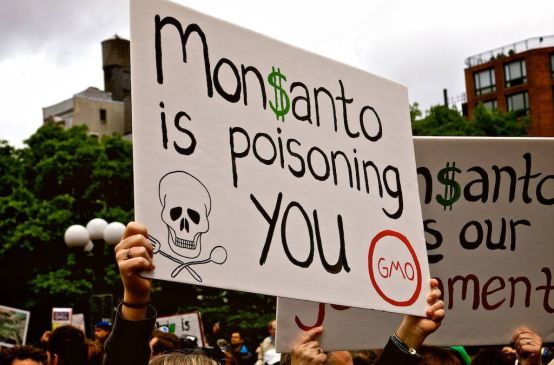 Manifestazione Monsanto is poisoning you