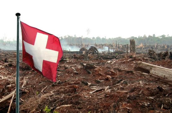 Foresta bruciata con la bandiera svizzera (fotomontaggio)