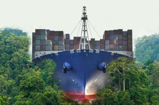 Nicaragua: nave attraversa la foresta