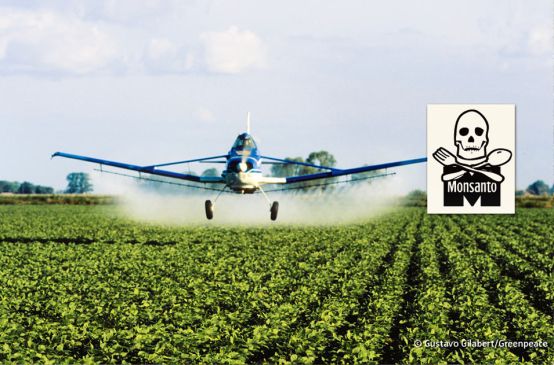 Airplane spraying pesticides over a soy plantation