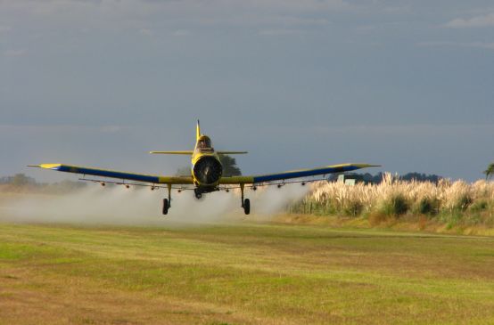 Un aereo cosparge il glifosato in un campo coltivato