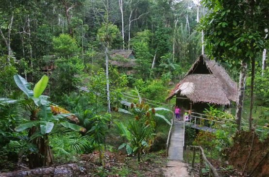 In mezzo alla foresta del Perù gli abitanti vogliono preservare la natura