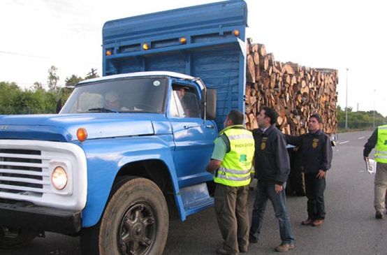 Tre agenti di polizia , hanno fermato un grande camion carico di legname per ispezionarlo