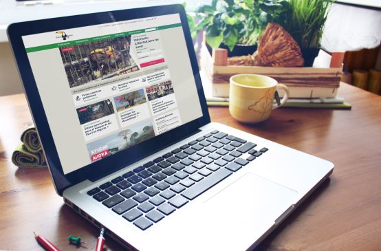 La nuova pagina web