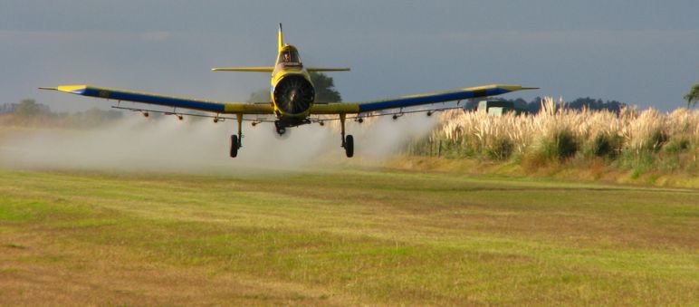Un areo sparge il glifosato su vaste aree di terra in Nord e Sud America. Un aereo cosparge il glifosato in un campo coltivato