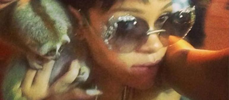 Foto: Badgalriri via Instagram. Rihanna con il Loris la settimana scorsa La cantante Rihanna con il Loris Lento