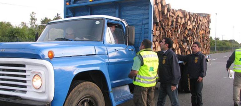 Tre agenti di polizia , hanno fermato un grande camion carico di legname per ispezionarlo