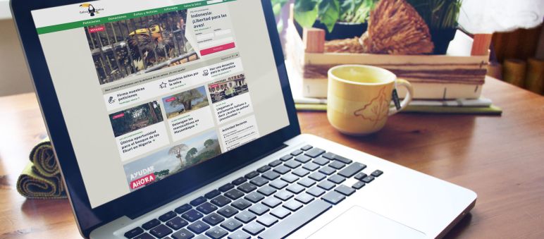 La nuova pagina web
