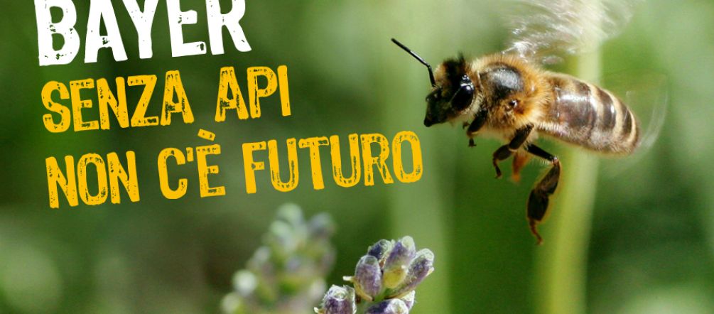Senza api non c'è futuro Un'ape in volo