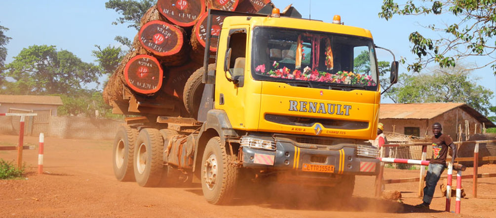 Un camion trasporta il legname per l' esportazione illegale