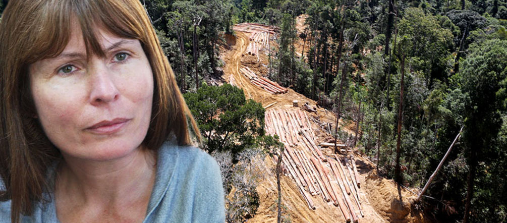 Perseguitata perché scomoda: la giornalista Clare Rewcastle Brown (© Erwin Zbinden/mongabay.com) La giornalista Clare Rewcastle Brown del Sarawak Report