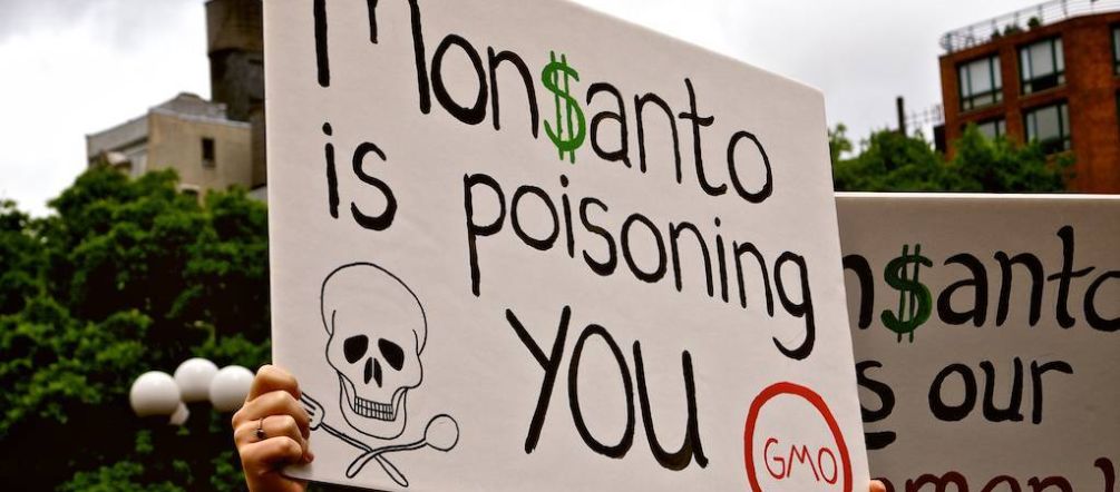 Monsanto è sinonimo di pesticidi e piante geneticamente modificate nei terreni agricoli Manifestazione Monsanto is poisoning you