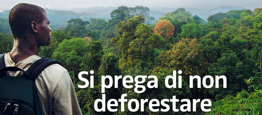 Si prega di non deforestare