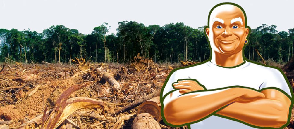 La foresta è già "pulita" (background: iStockphoto; montage: Salviamo la Foresta) Mastro Lindo con le braccia incrociate davanti ad una foresta distrutta.